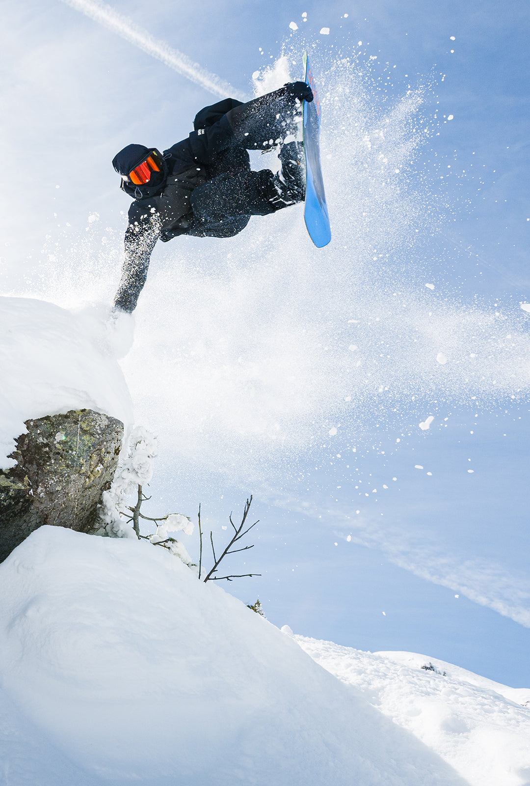 DC Shoes® Skate Shoes & Snowboard Boots