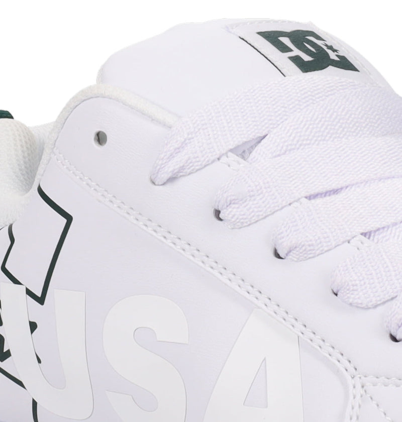 Men's Court Graffik Shoes