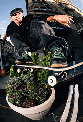 Skateboarder performing a trick over a potted plant with urban buildings in the background