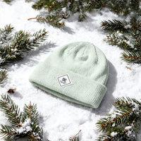 Light green beanie with DC logo on a snowy surface with pine branches.
