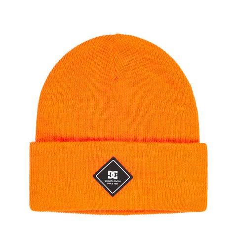 Label Beanie - DC Shoes