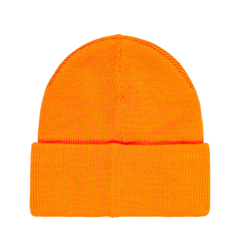 Label Beanie - DC Shoes