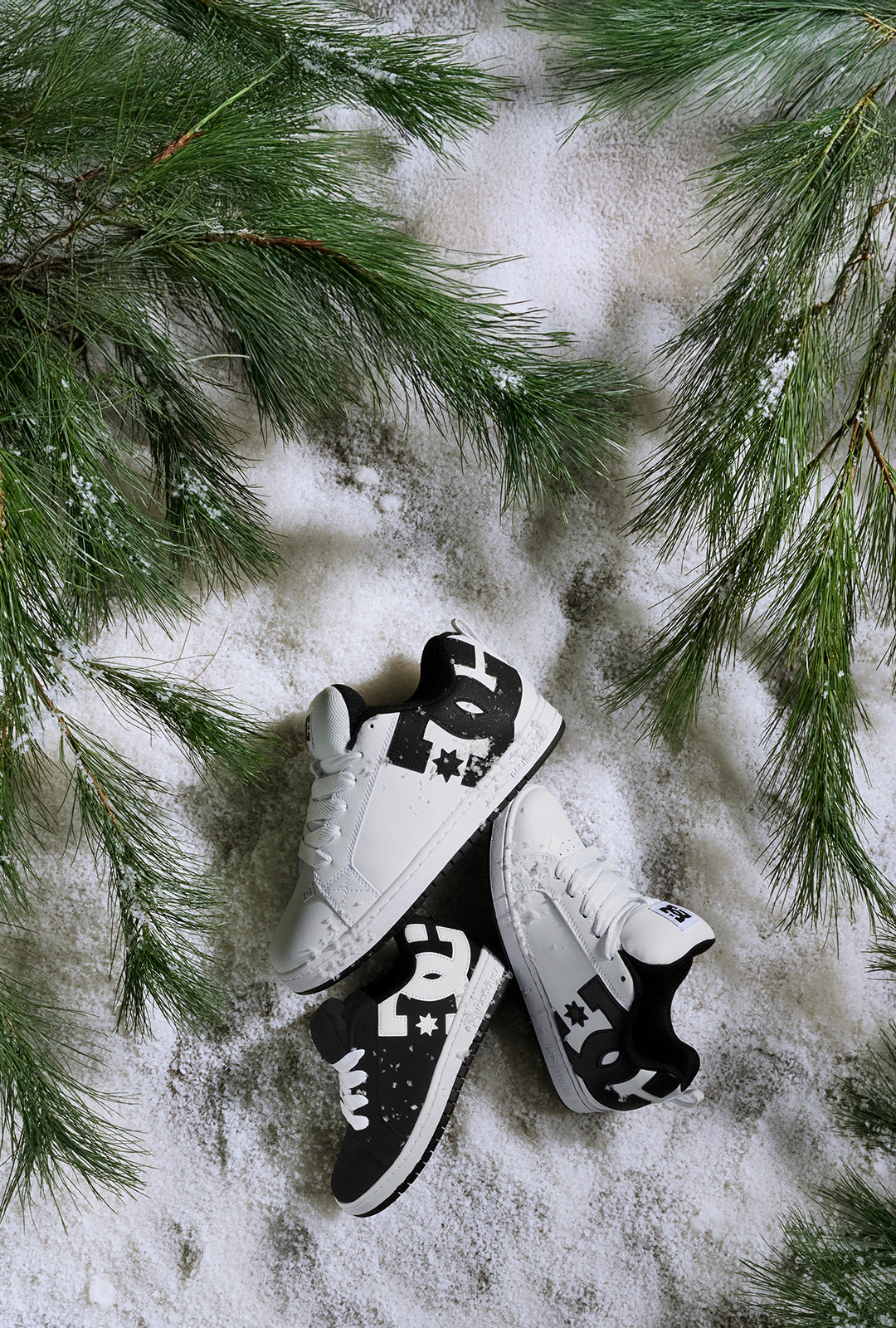 DC Shoes® Skate Shoes & Snowboard Boots