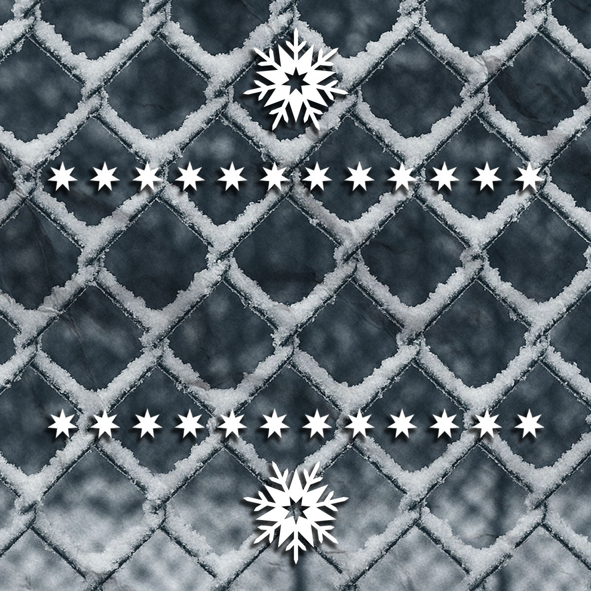 Snowflakes on a textured black and gray frosted fence