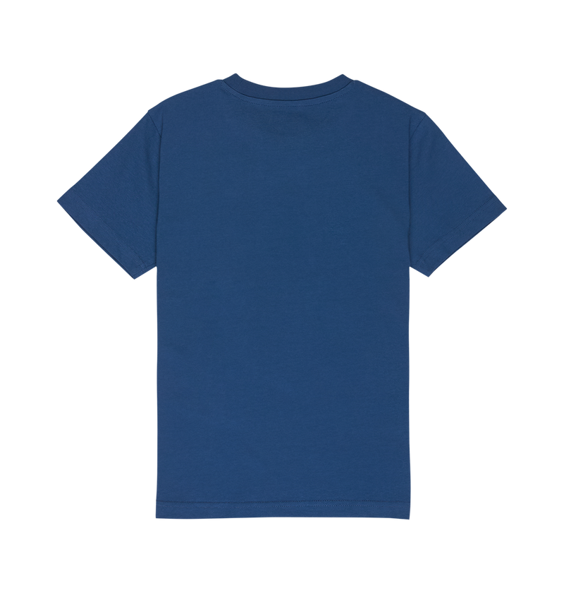 A relaxed-fit DC Shoes DC Star Filled Tee Youth in plain blue, short-sleeved and shown from the back against a white background.